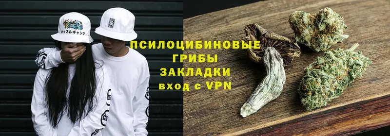 где продают   Приволжск  ссылка на мегу зеркало  Псилоцибиновые грибы Psilocybe 